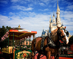 magic kingdom-24.jpg