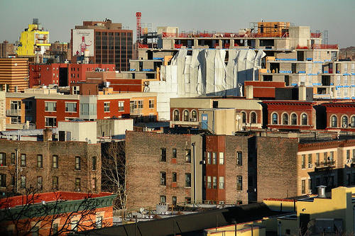 Harlem-1.jpg