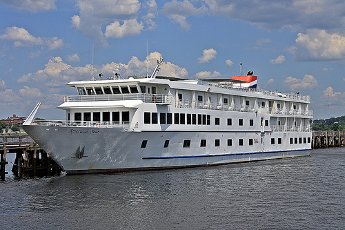crusie1.jpg