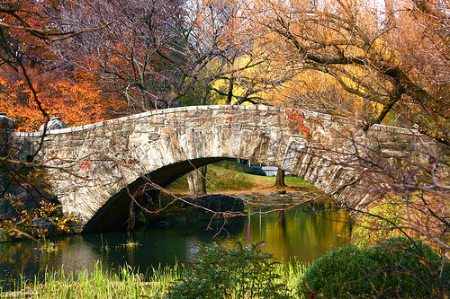 CENTRALPARK2.jpg