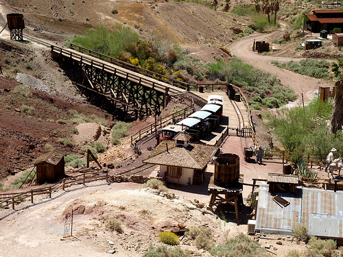 calico.1.jpg