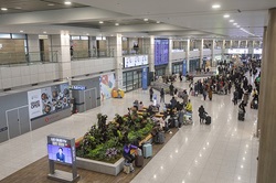 Incheon_International_Airport_Terminal_1_Arrival.jpg