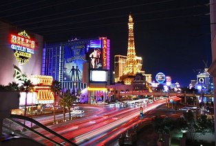 Flamingo-1.jpg